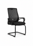Load image into Gallery viewer, Visiting Chair EBF 53