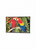 Load image into Gallery viewer, Photo Frames Unsorted