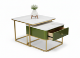 Load image into Gallery viewer, Coffee Table BTP 39