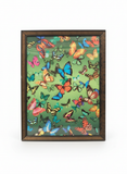 Load image into Gallery viewer, Picture Frame (Butterfly)