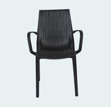 Load image into Gallery viewer, Arm Chair Luxuria