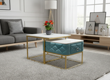 Load image into Gallery viewer, Coffee Table ATP 39