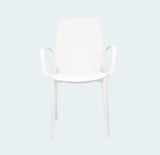 Load image into Gallery viewer, Arm Chair Luxuria