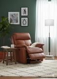 Load image into Gallery viewer, Reclining Chair Travis