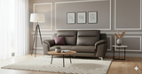 Load image into Gallery viewer, Sofa Camio