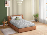 Load image into Gallery viewer, Florid Mattress 50+