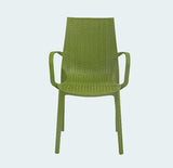 Load image into Gallery viewer, Arm Chair Luxuria