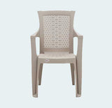 Load image into Gallery viewer, Arm Chair Net